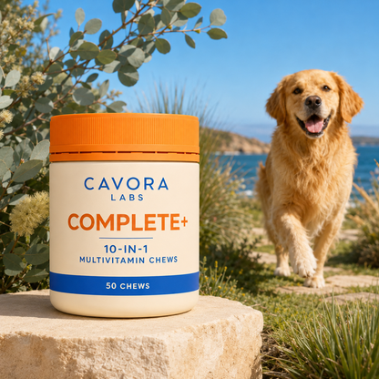 Cavora Complete+ with golden retriever in an Australian coastal garden