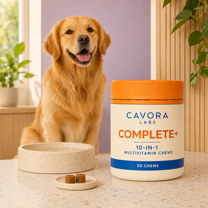 Cavora Complete+ daily wellness routine with golden retriever