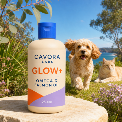 Cavora Glow+ omega-3 salmon oil in an Australian coastal garden with cream tabby cat and small dog