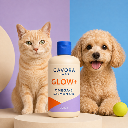 Cavora Glow+ omega-3 salmon oil studio portrait with cream tabby cat and small dog