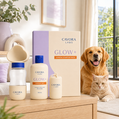 Cavora Glow+ omega starter pack in a sunlit Australian home with golden retriever and cream tabby cat