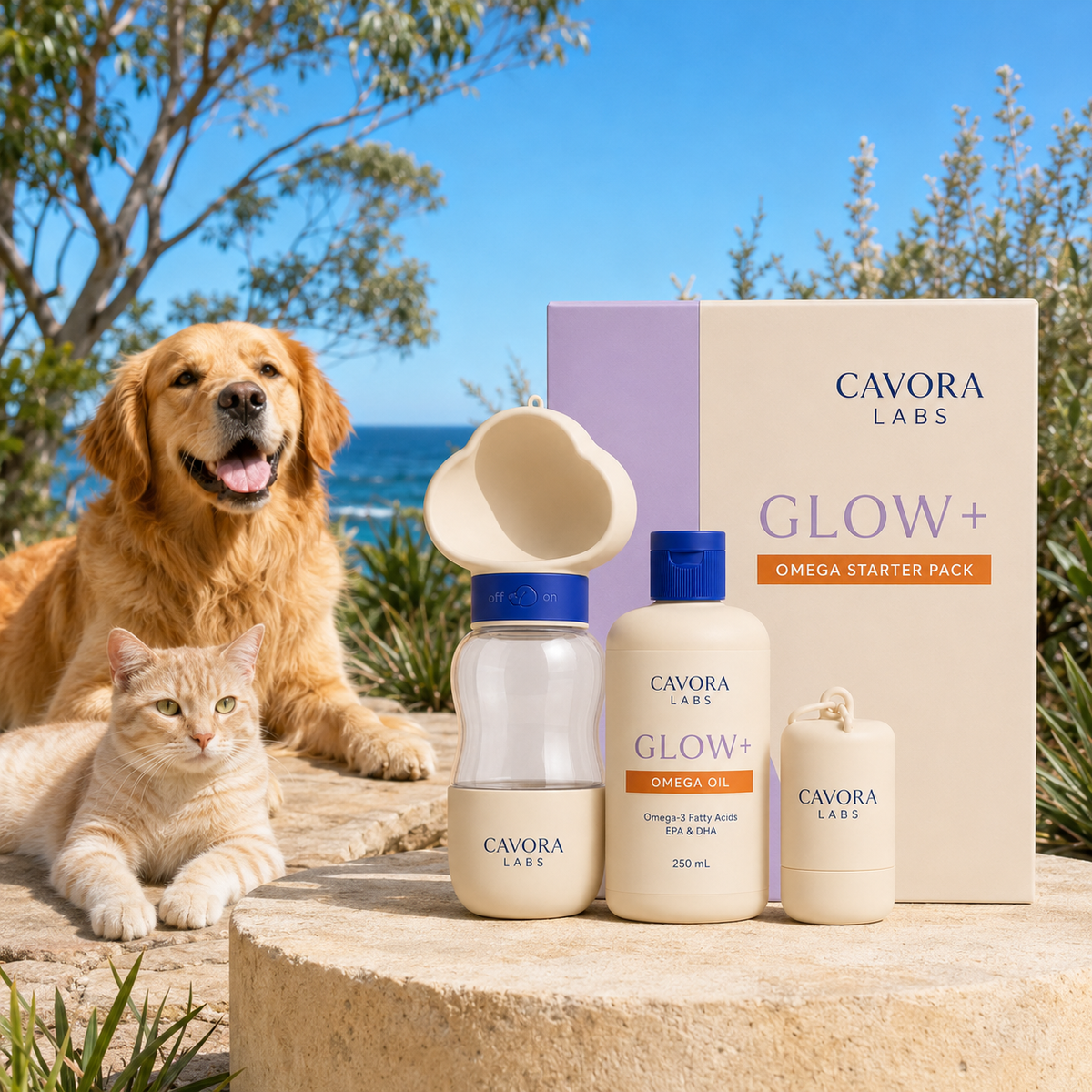 Cavora Glow+ omega starter pack in an Australian coastal garden with golden retriever and cream tabby cat
