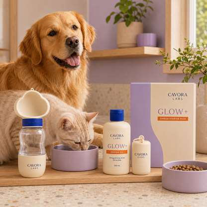 Cavora Glow+ omega starter pack daily wellness routine with golden retriever and cream tabby cat