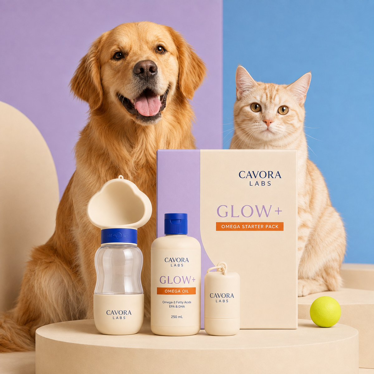 Cavora Glow+ omega starter pack studio portrait with golden retriever and cream tabby cat