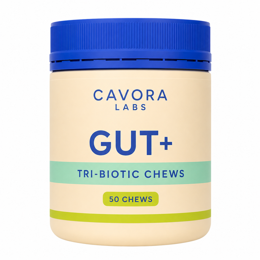 Cavora Gut+ tri-biotic chews on white